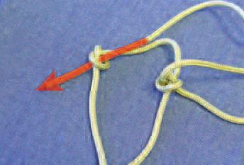 noseband knot. Take the noseband knot that is closest to you and loosen it.