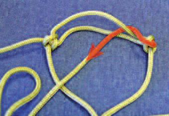 Here you will be making another double overhand knot.