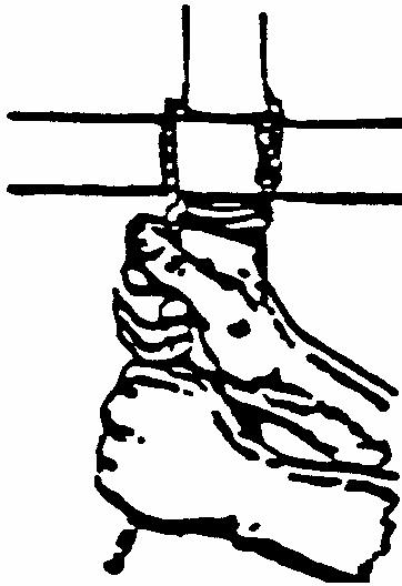 Lashing - To hold spars or poles together.