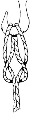 LARK S HEAD NECK HALTER TIMBER HITCH After knotted end is passed