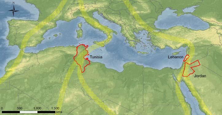 THE ISSUE Many migratory birds which breed in Europe and central and western Asia follow traditional routes south across, or around, the Mediterranean during their autumn migration in order to reach