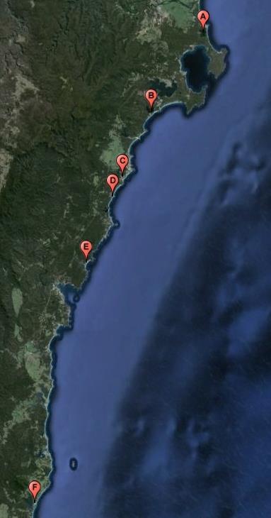 3.2 Geology, Climate and Wave-climate of the NSW South Coast The ICOLLs included in this study (hereafter referred to as the ICOLLs) are spread along the south coast of NSW.