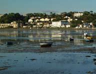This range of estuarine, wetland and heathland habitats and the animals and plants they support, together with the large variety and number of birds, means Poole Harbour is recognised as being of