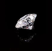 State Gem The state gem was declared a