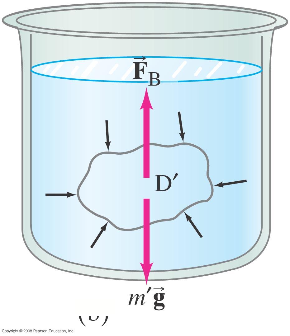 an object immersed in a fluid is equal to