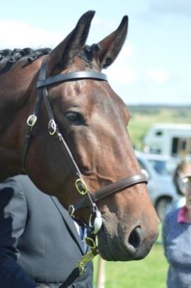 CLEVELAND BAY SHOWS 2018 May 2018 17 th 19 th DEVON COUNTY SHOW Miss S Preston, Devon County Agricultural Society, Westpoint Clyst St Mary, Exeter. EX5 1DL. Email: equine1@dcshow.