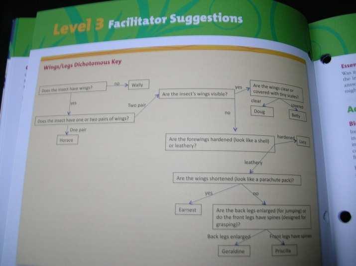 forward to the Level 3 book and using