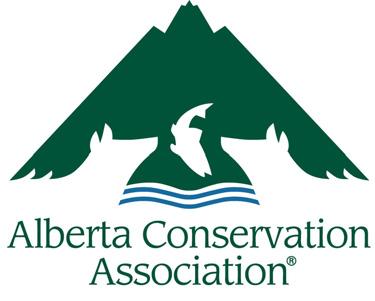 Assessment of Trout Abundance and Distribution in the Waiparous Creek Drainage, Alberta, 26