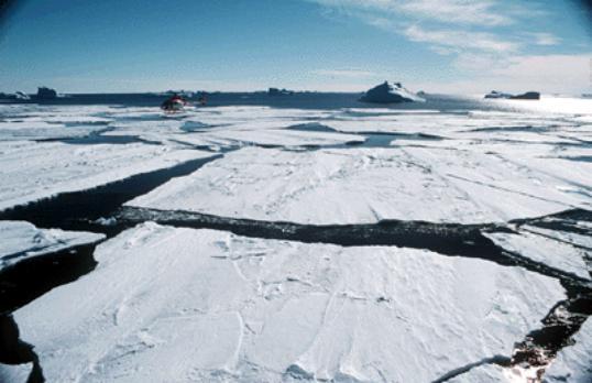 Leads (cracks) in Arctic Ocean pack ice Source: SHEBA web site