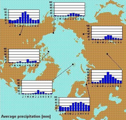 Arctic precipitation climatology.