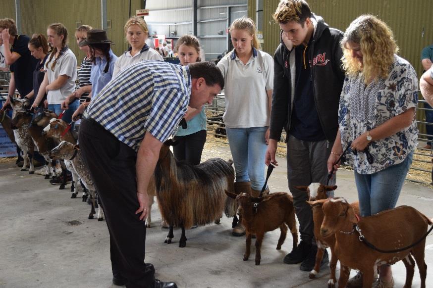 Judge: Rick Howard Cadet Judge: Seleena Nichols Miniature Goat Breeders Association of Australia Inc ARBN: 169 787 099 MINIATURE GOAT SHOW CATALOGUE BERWICK SHOW RESULTS 26/2/17 Chief Steward/ Show