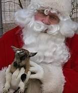 Santa Says, Merry Christmas & Happy New Year to All my Goat