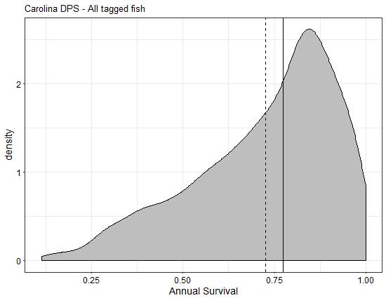 Figure 14. Posterior distribution of annual survival estimates from the acoustic tagging model for all tagged fish from the Carolina DPS.