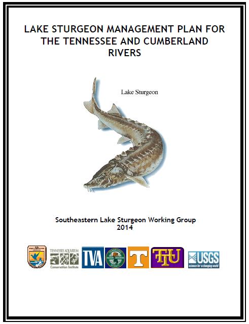 Lake Sturgeon Reintroduction SLSWG Management Plan Management goals and research needs Assess the availability of