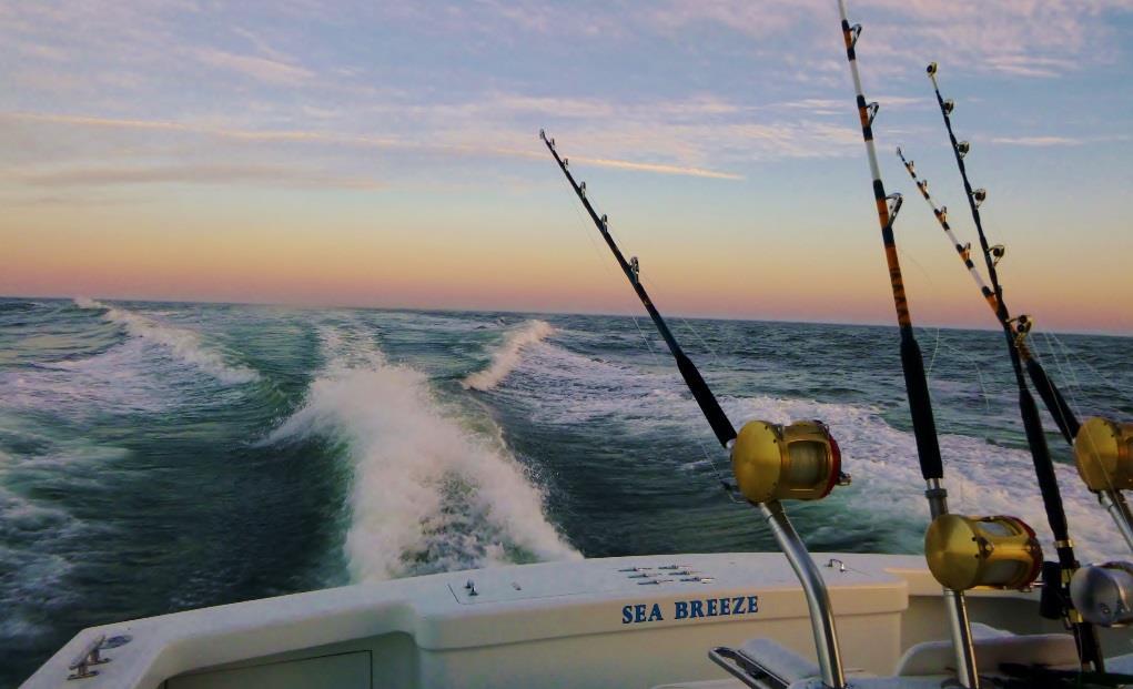 Recreational fishing: Big business! Anglers in 2015: Spent $4.