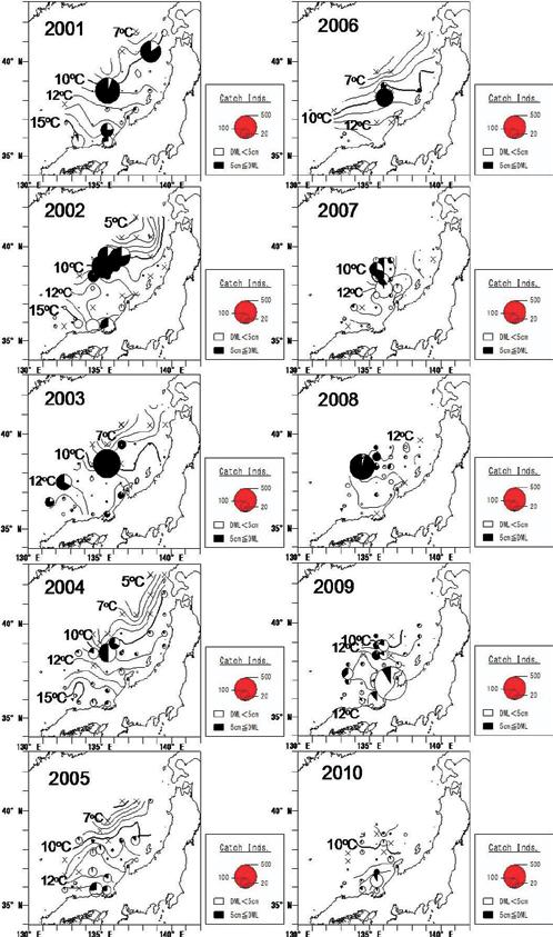 Forecasting the stock size of Japanese common squid 29 Figure 5. Site of stations and number caught of juvenile Todarodes pacificus at the stations shown with the special distribution of SST.