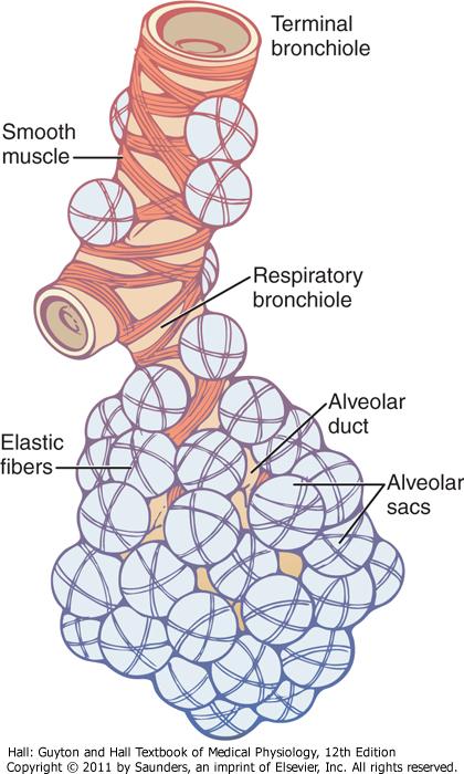 Figure 39-7 Respiratory unit.
