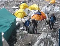 There it was sorted into biodegradable and non-biodegradable waste in the compound of the Eco Everest Representative.