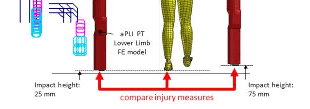 the human full body FE model and the FlexPLI FE model (Figure 14). Fig. 15. Overview of the apli PT FE model compared to the FlexPLI FE model. Fig. 16.