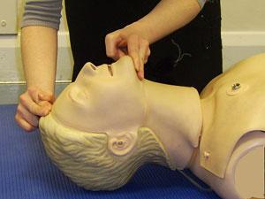 Cardio Pulmonary Resuscitation (CPR) CETL 2008 2 Shout for help Can I have a hand over here now please!