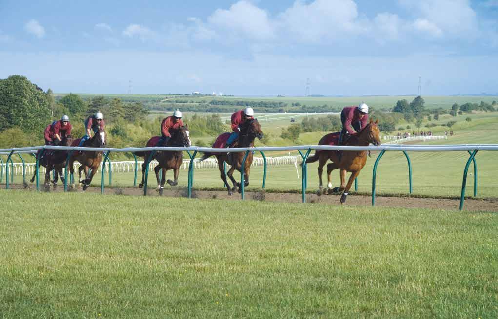 The IRB are based in Newmarket and the town, with equine facilities that are second to none worldwide, has unsurprisingly been by far the most popular choice of temporary home for visiting trainers