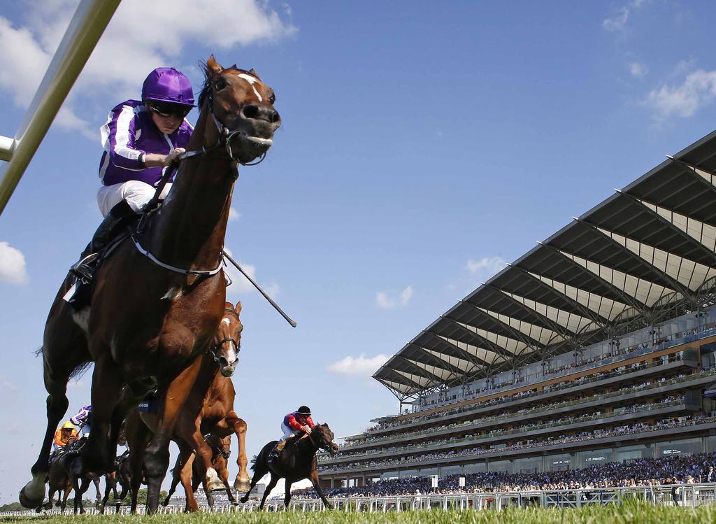 The Hardwicke Stakes at Royal Ascot is recommended as a prep race for the King