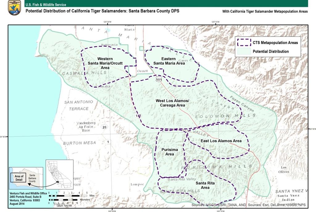 Figure 1. Distribution of California Tiger Salamanders: Santa Barbara Population.