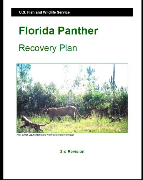 A viable population, for purposes of Florida panther recovery, has been defined as one in which there is a 95% probability of