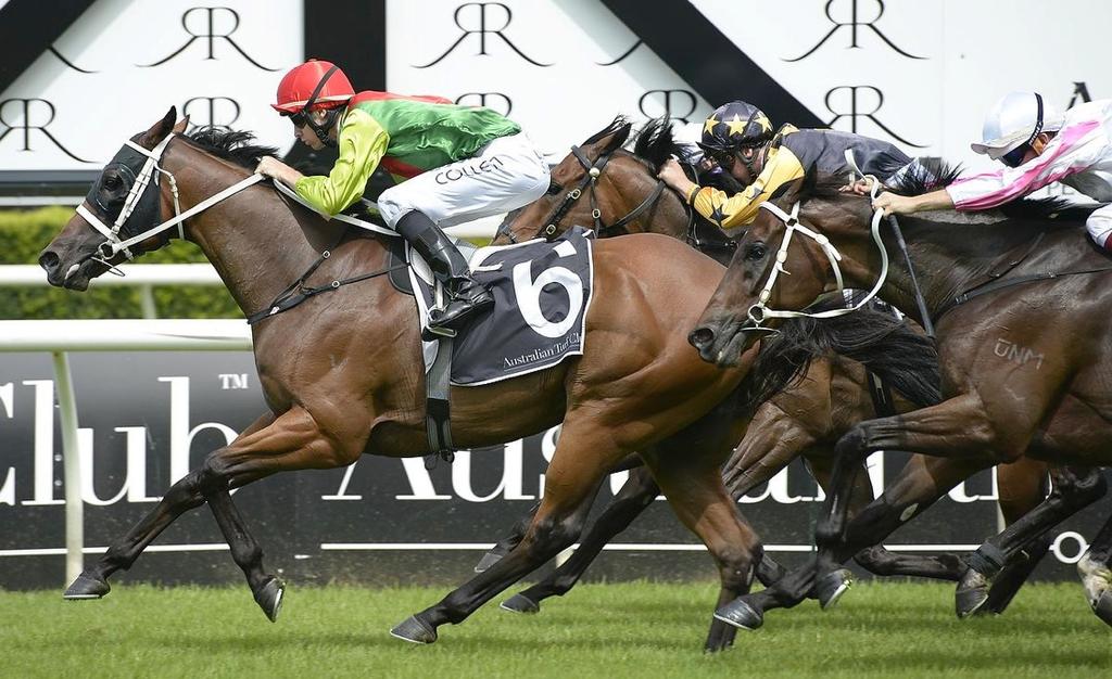 Waller weekly news 20 February, 2015 Heart Testa makes the Randwick finish line his on Saturday in the Group 3 Southern Cross Stakes.