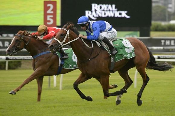 He was ridden on Saturday by Jason Collet who has have struck up a great record with him having been in the saddle for seven of the diminutive geldings eight wins.