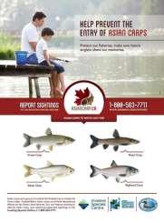 Targeted Anglers and Lake Users Asian carp prevention ads with key information on how to identify and report Asian carps were featured in: 14 issues of Ontario Out of Doors,