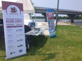 Targeted Anglers and Lake Users Avenues targeted at Canadians to increase awareness towards preventing Asian carp introduction: 5