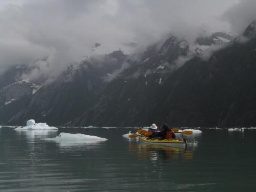 In addition to the glacier the fjord has 4000-6000 foot peaks reaching steeply up from the edges of the arm, large icebergs drifting quietly, abundant wildlife, and the not to be missed side trip