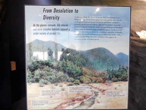Sign: From Desolation to Diversity.