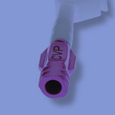 Care and Maintenance Flushing Protocol FLUSHING NON-VALVED LUMEN Clamped with PURPLE Hub 1. Always aspirate first to confirm blood return. 2.