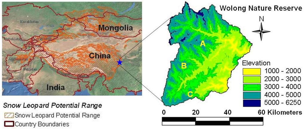 III. Methods: Study area The 2,000-km2 Wolong Nature Reserve in Sichuan, China (Fig. 1) is located along the eastern border of Tibetan plateau and inside one of the world s biodiversity hotspot areas.