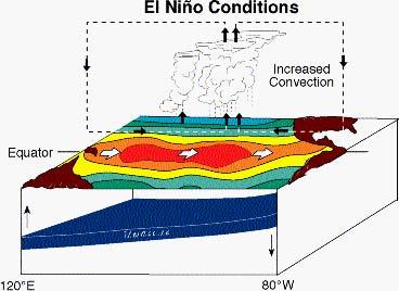 Energy, Ch. 16, extension 1 ENSO events 6 Fig. E16.4.2 Condition of the Pacific during El Niño.