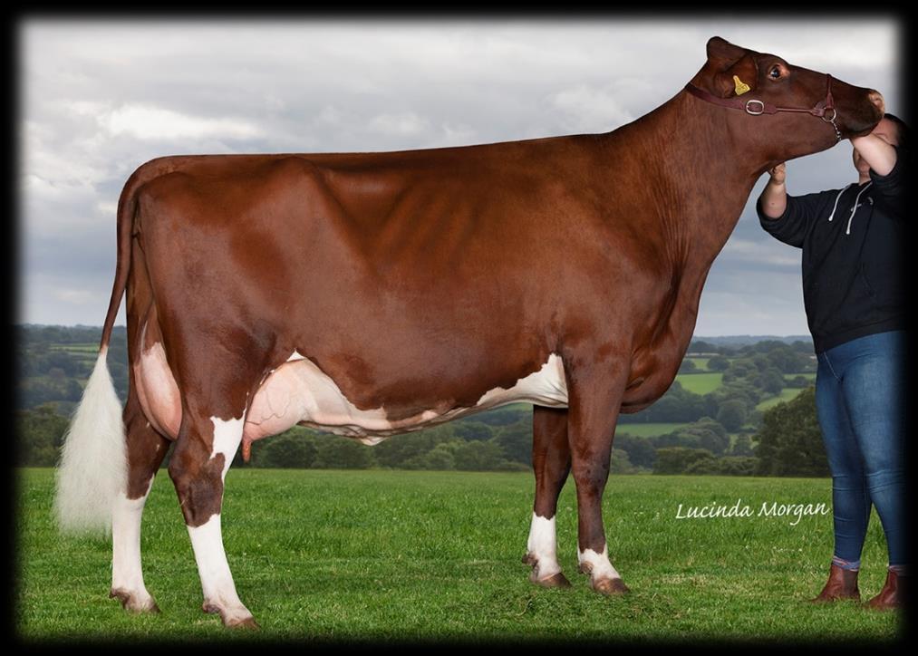 Tabia 2 nd VG86 Lot 721 Frome Market Standerwick Frome Somerset BA11 2QB Tel: 01373