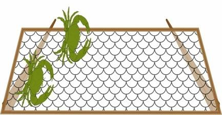 direction (Figure 8). Crabs easily go inside the net by crawling sideways towards the bait without any change in behavior.