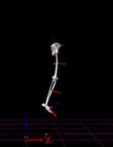 schouweiler, hess UW-L Journal of Undergraduate Research XIII (21) hip abduction angle, hip flexion angle) and