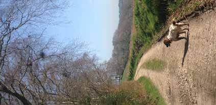 A walker's guide to the East Devon Way What to take Take plenty of water and some snacks, some extra clothing in case the weather changes and a