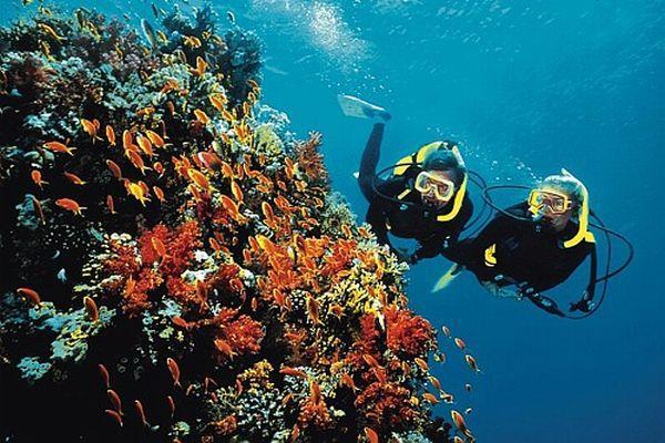 LEARNING (medical check required) RECREATIONAL Scuba diving courses: Open water diver
