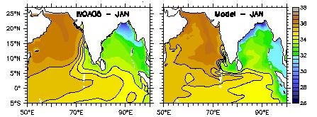 The most important oceanic parameter that affects ocean-atmosphere coupling directly is the SST. Consequently, the oceanic warm pool (i.e., regions with SST > 28 C) occupies a special place in studies of tropical air-sea interaction.