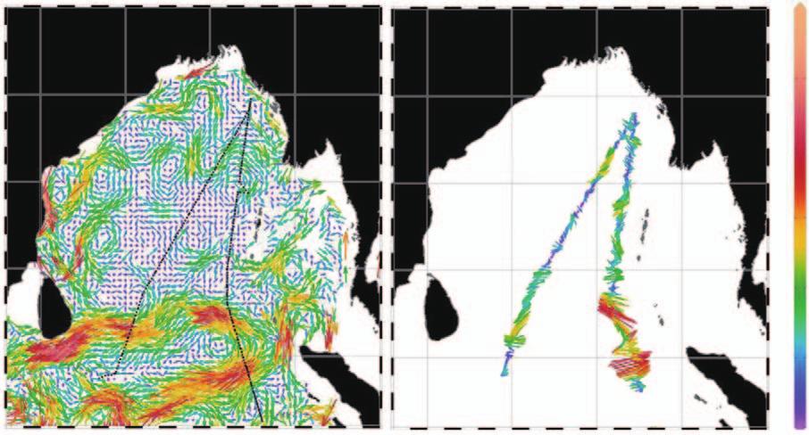 In order to validate our estimated velocity field, we make visual comparison with in-situ ADCP observations obtained in February-March 995 during the World Ocean Circulation Experiment (WOCE).