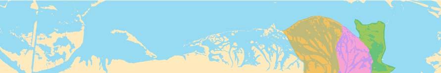 8,000 6,000 4,000 Area (ha) 2,000 0 Tidal flat Estuarine marsh Seagrass Gulf beach Palustrine marsh 1950's 1979 2002-04 Figure 32.