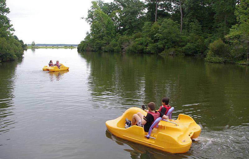 There are different kinds of paddle boats.