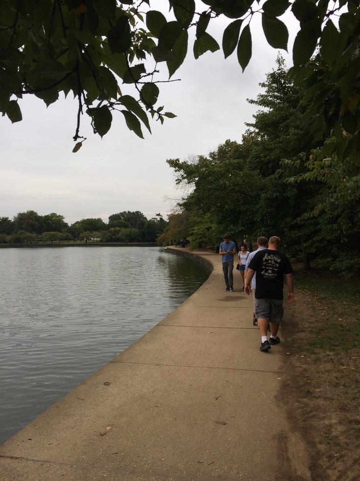 There is a path that goes around the entire Tidal Basin.