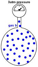 P total = P gas a + P gas b + P gas c + etc Dalton's Law of Partial Pressures assumes each gas in the mixture is behaving like an ideal gas. P total = P gas a + P gas b = + Example Problems 1.