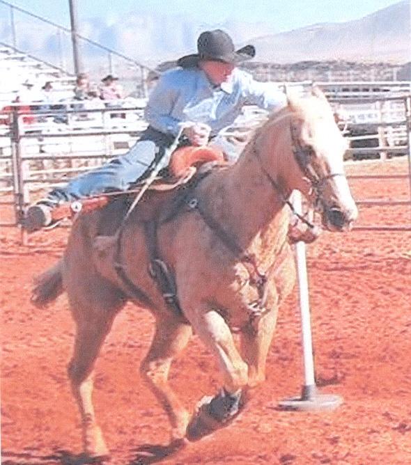 She is quiet and gentle for experienced youth riders. "Dixie" will watch a cow and is certainly fast enough to make a barrel horse.