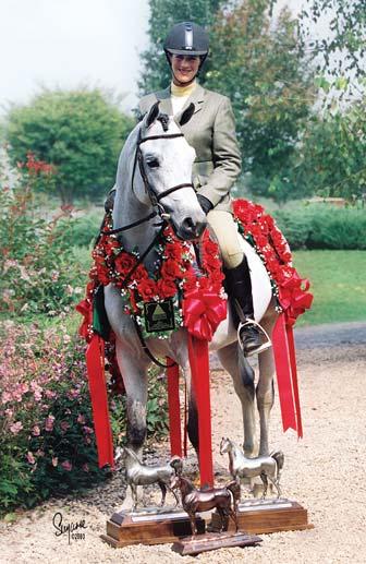 Hunter Hack, National Champion Sport Horse Under Saddle Junior Horse,